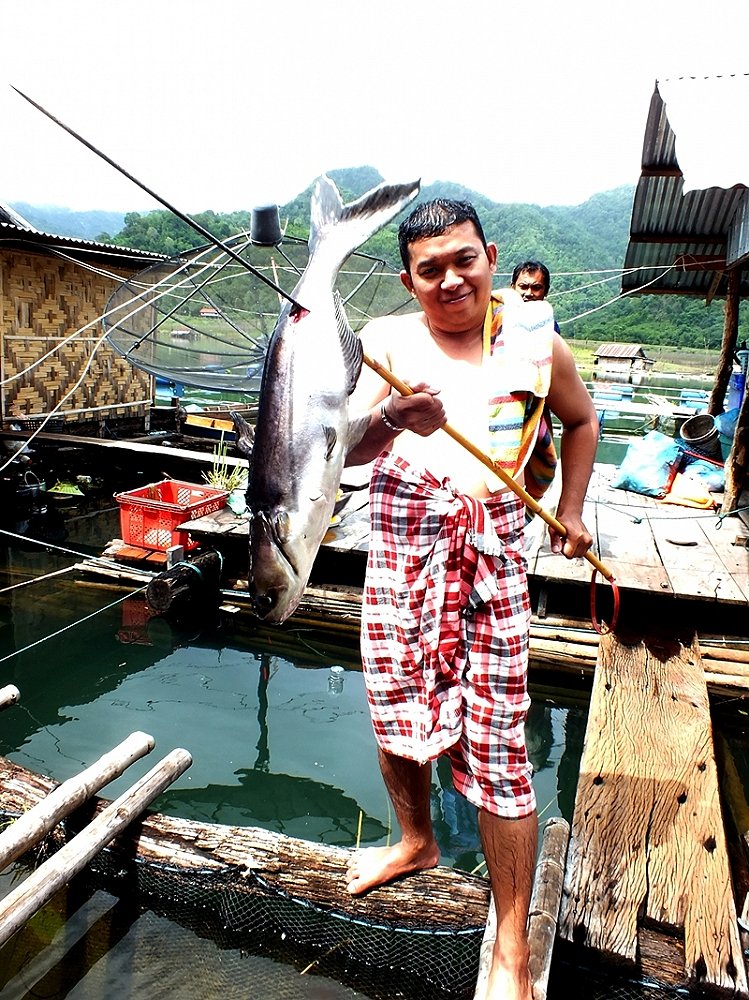 มื้อเย็นจัดหนัก ต้องเตรียมวัตถุดิบไว้ให้พร้อม :laughing: :laughing: :laughing: :laughing: :laughing: