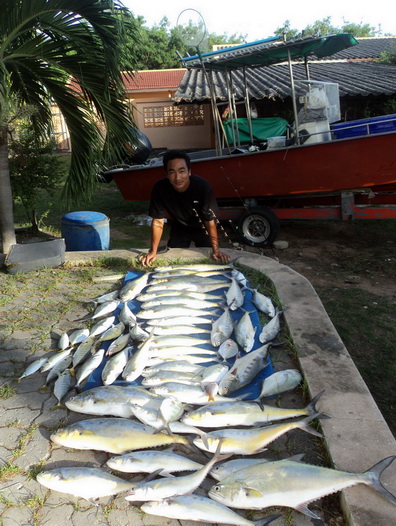 สรุป เรือก็ยังตกปลาได้ดีครับ จอมเทียนเกาะไผ่ ลอยจิ๊กน้ำแรงๆ ตั้งแต่เช้ายันบ่ายใช้น้ำมันไป 30กว่าลิตร