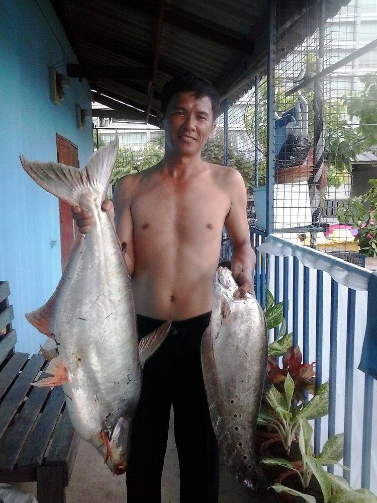 ขอบอก  ปลาบ่อเจโม ปลากินเบ็ดยากมากครับ  แต่ปลาใหญ่มาก ขอบอก  จนเขาขนานนามว่าบ่อปราบเซียน  ครับผม :la