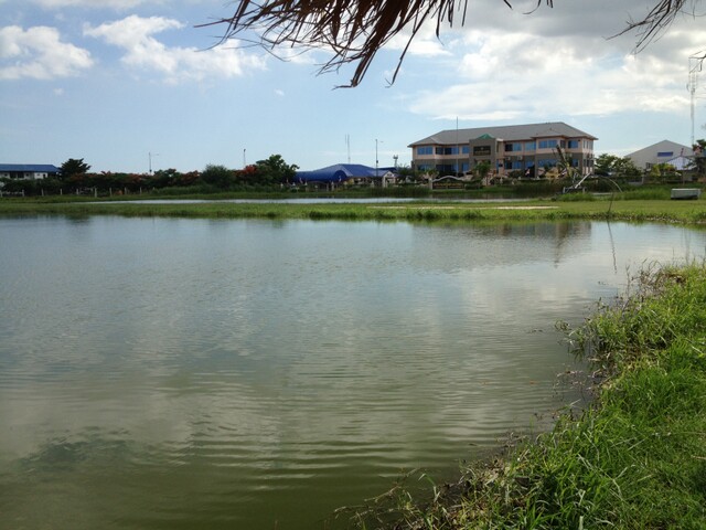 พักถ่ายรูปบ่อข้างๆกินน้ำเย็นก่อนครับ