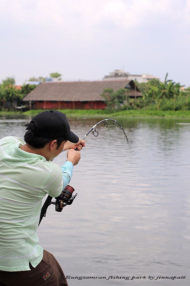 บอสถ้าแต่งภาพนะ หมุนให้เส้นขอบฟ้า หรือจุดทึ่มีลักษณะเป็นเส้นยาว ขนานกับขอบล่างหรือขอบบนของภาพรูปจะสว