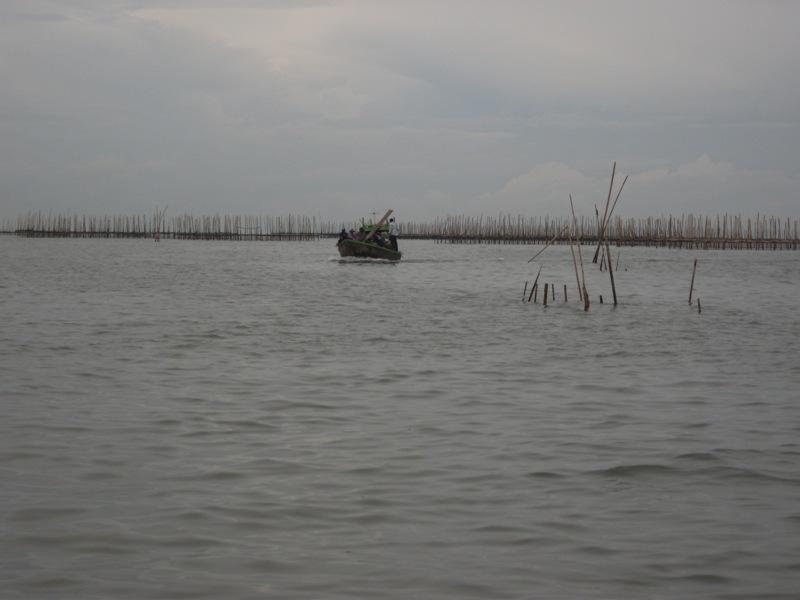 ลำนี้เป็นเรือเป็ดครับ  

ไต๋ลำนี้ทำอาชีพเลี้ยงหอยแมงภู่เป็นหลัก  เวลาว่างๆก็ออกมาตกปลาหากับข้าว  ต