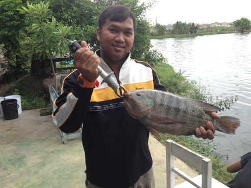 สุดท้ายน้องฉัตรครับ