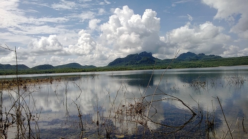 ธรรมชาติที่สวยงาม เหมาะกับวันพักผ่อนจริงๆครับ :grin: :grin: :grin: :laughing: :laughing: