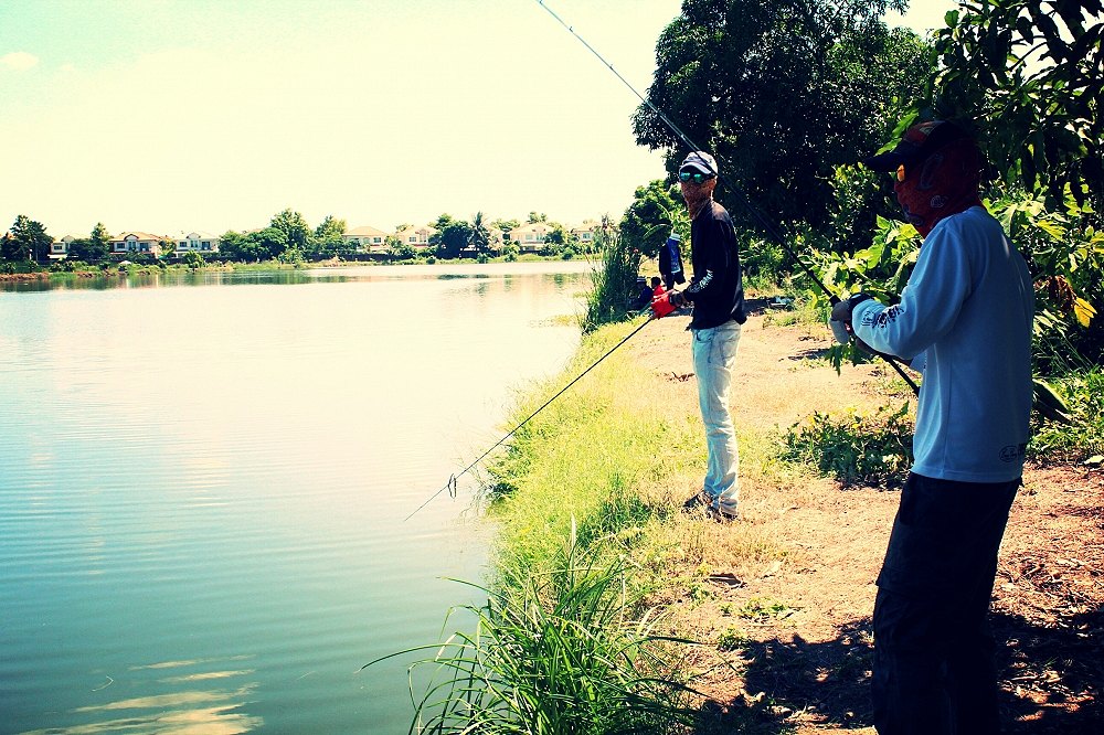 ถ่ายไปเรื่อยเปื่อยครับ :spineyes: :spineyes: