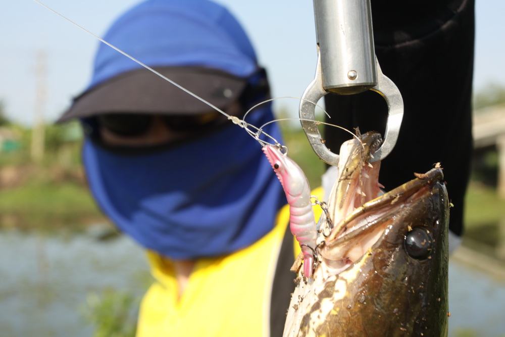 SUPER PRAWN II  กุ้งชัวร์แคท  :blush: :blush: :blush: