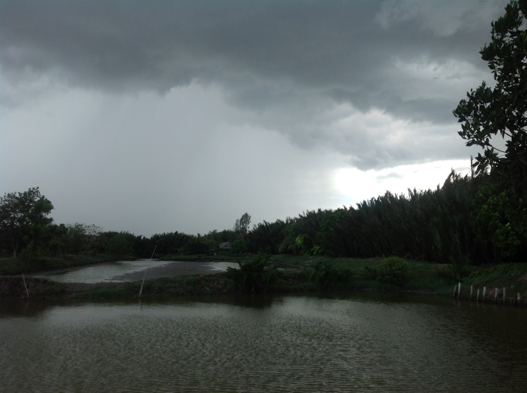 ฝนมาแล้วครับ