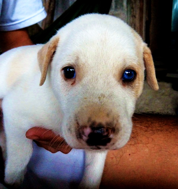 จัดไปอีกตัวคร๊าบ
 :grin: :grin: :grin:
