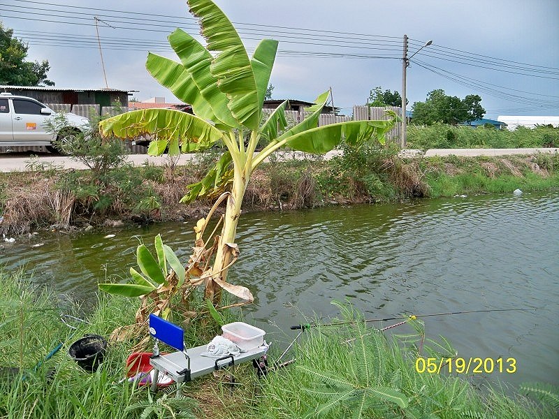 ทริปที่สามครับ หมายเดิมกินช้าไปหน่อย 
กินทีมีแต่สัตว์ใหญ่ สายขาดบ้าง หลุดบ้าง  :angry:

มาท้ายบ่อ