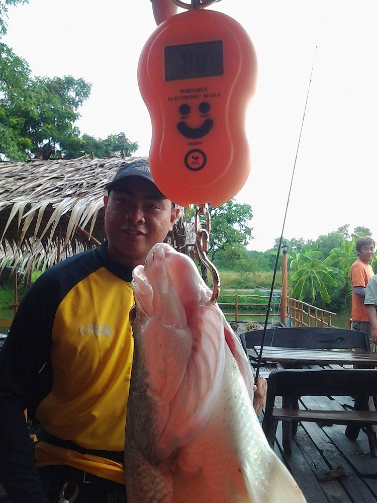 ลุ้นเทพปลาแว๊นซ์ :laughing:
ว่าที่ลูกทีม ปาร์ตี้ฟิชชิ่ง :cheer: