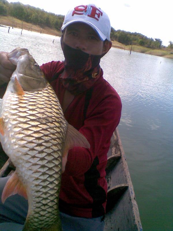 ฟ้าหลังฝน
