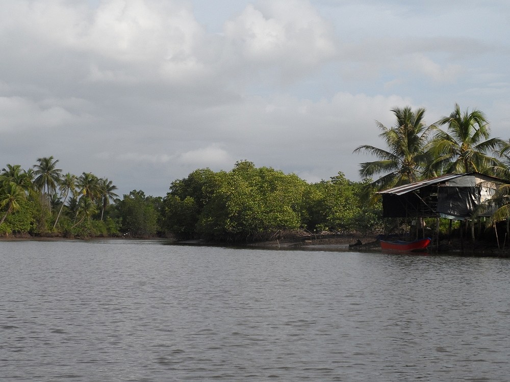 ล่องเรือไปเรื่อยๆ ช่วงนี้ในคลองน้ำจืดสนิท ขนาดลุงไก่ ไต๋เรือบอกให้ลองชิมดู ขนาดอยู่ไกล้ๆทะเลเลยนะนี่