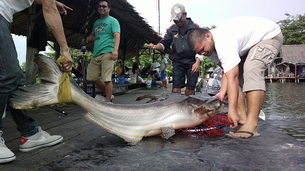 จัดระเบียบสักหน่อย