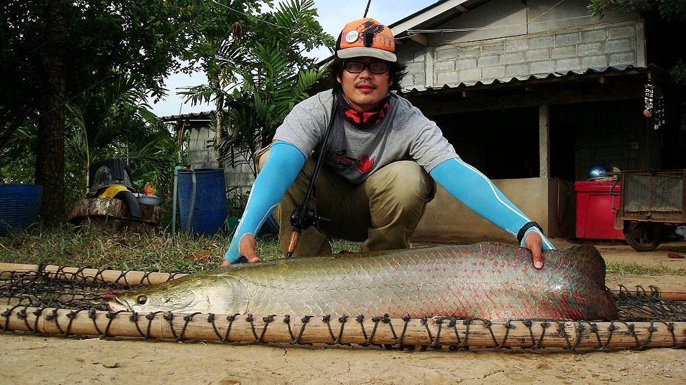 ลากันด้วยภาพนี้นะครับ
ขอให้ทุกท่านสนุกกับการตกปลานะครับ
หมายธรรมชาติเก็บมั่งปล่อยมั่งก็ดีนะครับ
ป