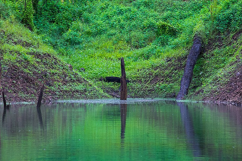 สภาพหมาย มองไปทางไหนก้อสวยไปหมด