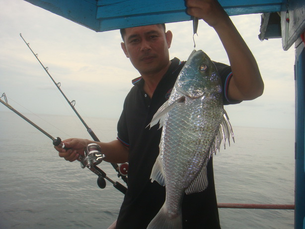 บังต้อม  สอยมาจากท้ายเรืออีกตัว...โรสๆ  แกงตอแมะ  หรอยแรง...