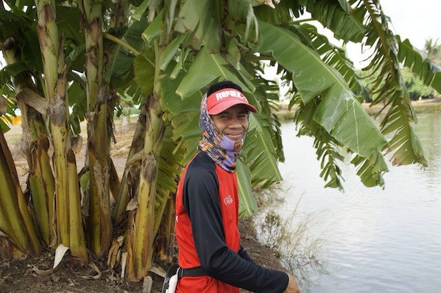 น้องบิ้ก ชื่อใหญ่ แต่ตัวเล็ก ครับ  :laughing: :laughing: :laughing: :laughing: