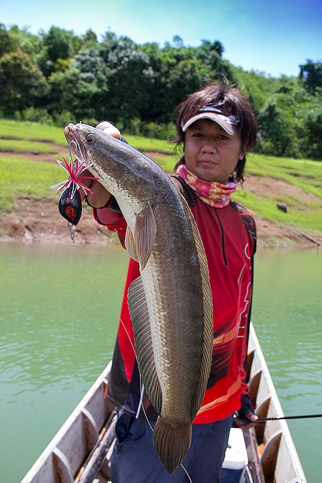 ขออีกซักภาพนะครับ  :grin: :grin: