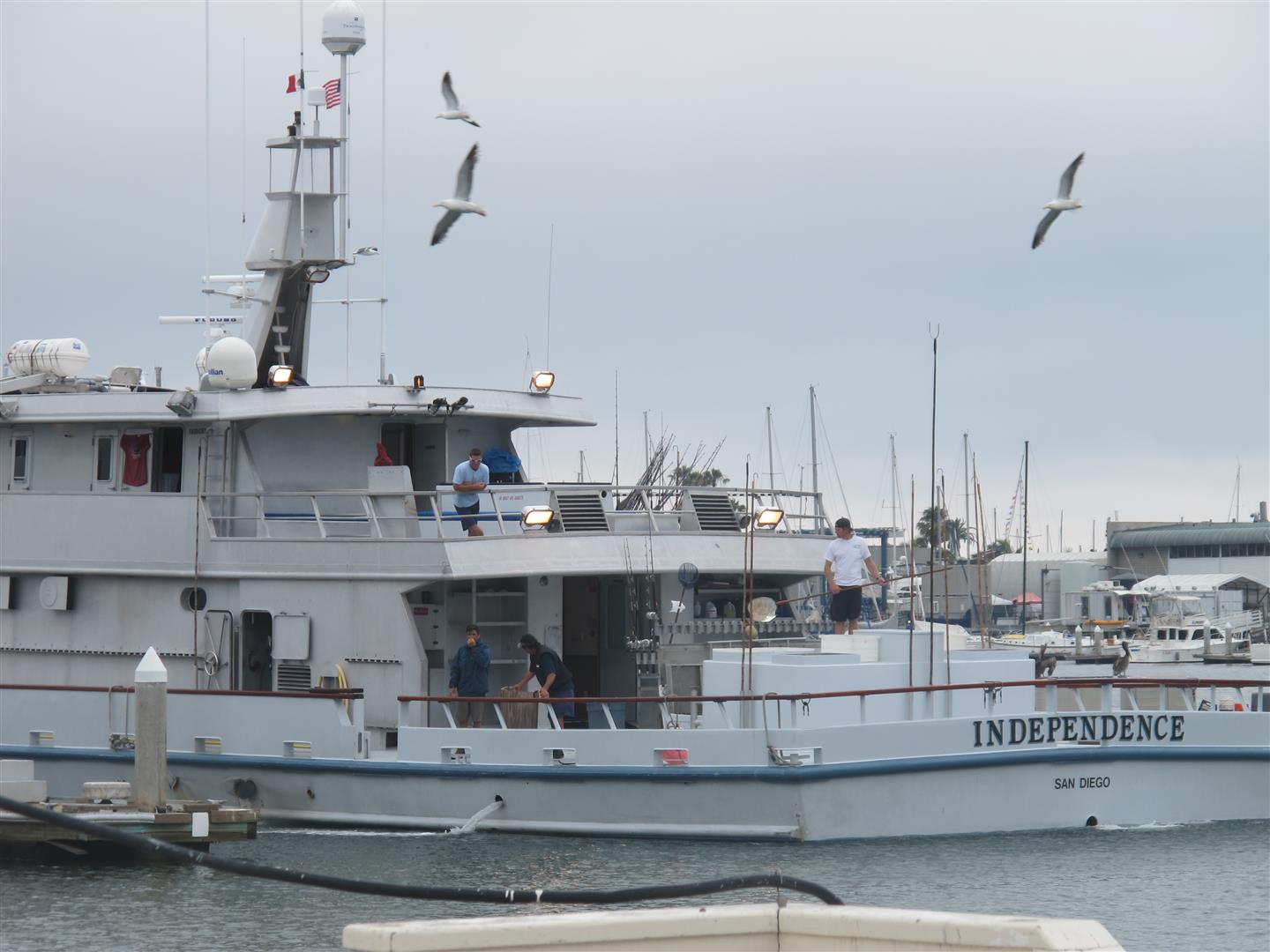 Blue Fin Tuna on Independence Boat