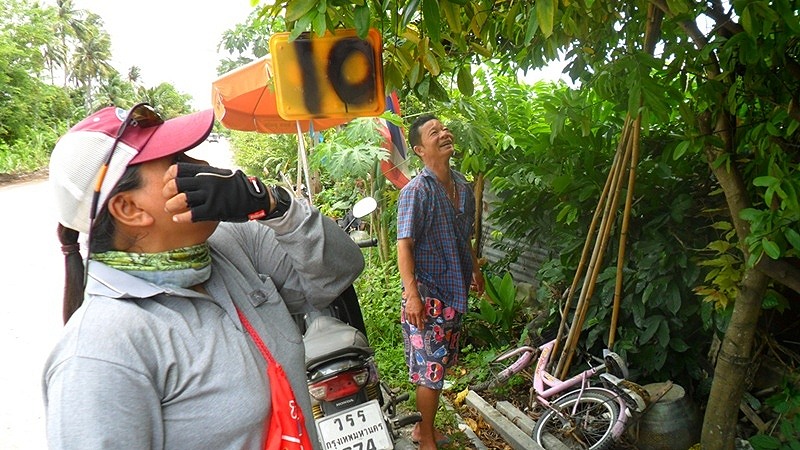 

                 "ขากลับแวะซื้ผัก..ดันเหลือบไ