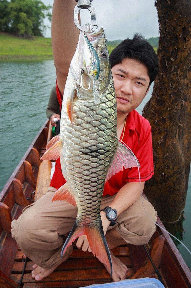 [center][b] ถ่ายหลายๆรูปเด้อเสี่ย...อิอิ  :laughing: :laughing: :laughing: :laughing: