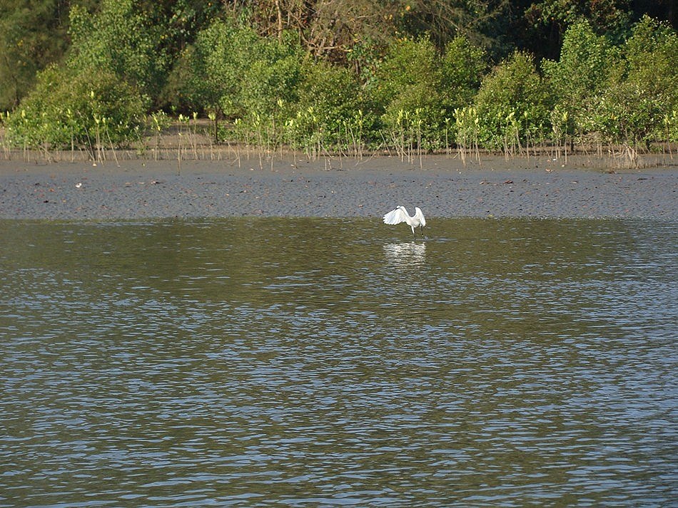 ได้ลงเรือแล้ว ก็ถ่ายรูปเรื่อยเปี่อย บรรยากาศที่ในกรุงเทพฯ หาดูยากเหลือเกิน