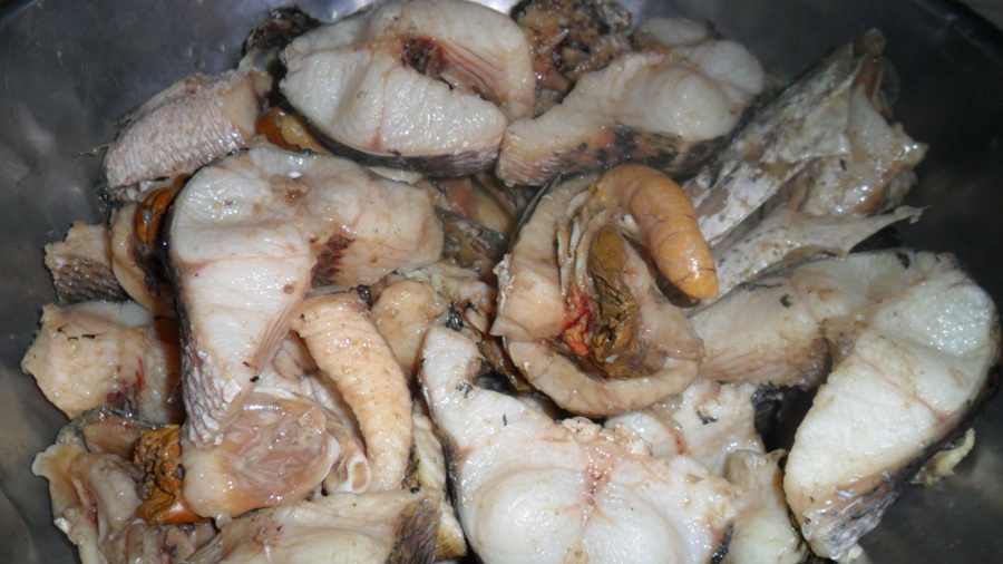 
        เนื้อปลาเริ่มรัดตัวดีแล้วววววว