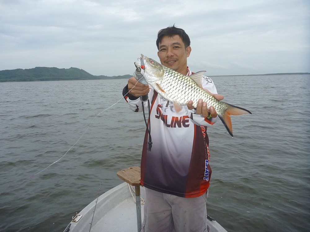 หลังจากที่ยืม "เหล็ก" จากพี่ระ มา 1 ตัว ก้อเริ่ม ขุดๆๆ.....เป็นผล....ตัวที่ 1 ก้อตามมา....5555

