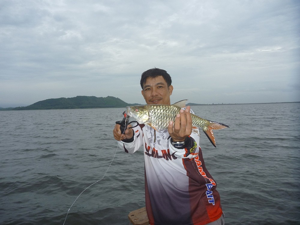 และตัวสุดท้ายของวันนี้....ก้อมา..ปลากระสูบ...ที่ตกได้วันนี้...ได้จากเหยื่อ "เหล็ก" ทุกตัว ยกเว้น ช