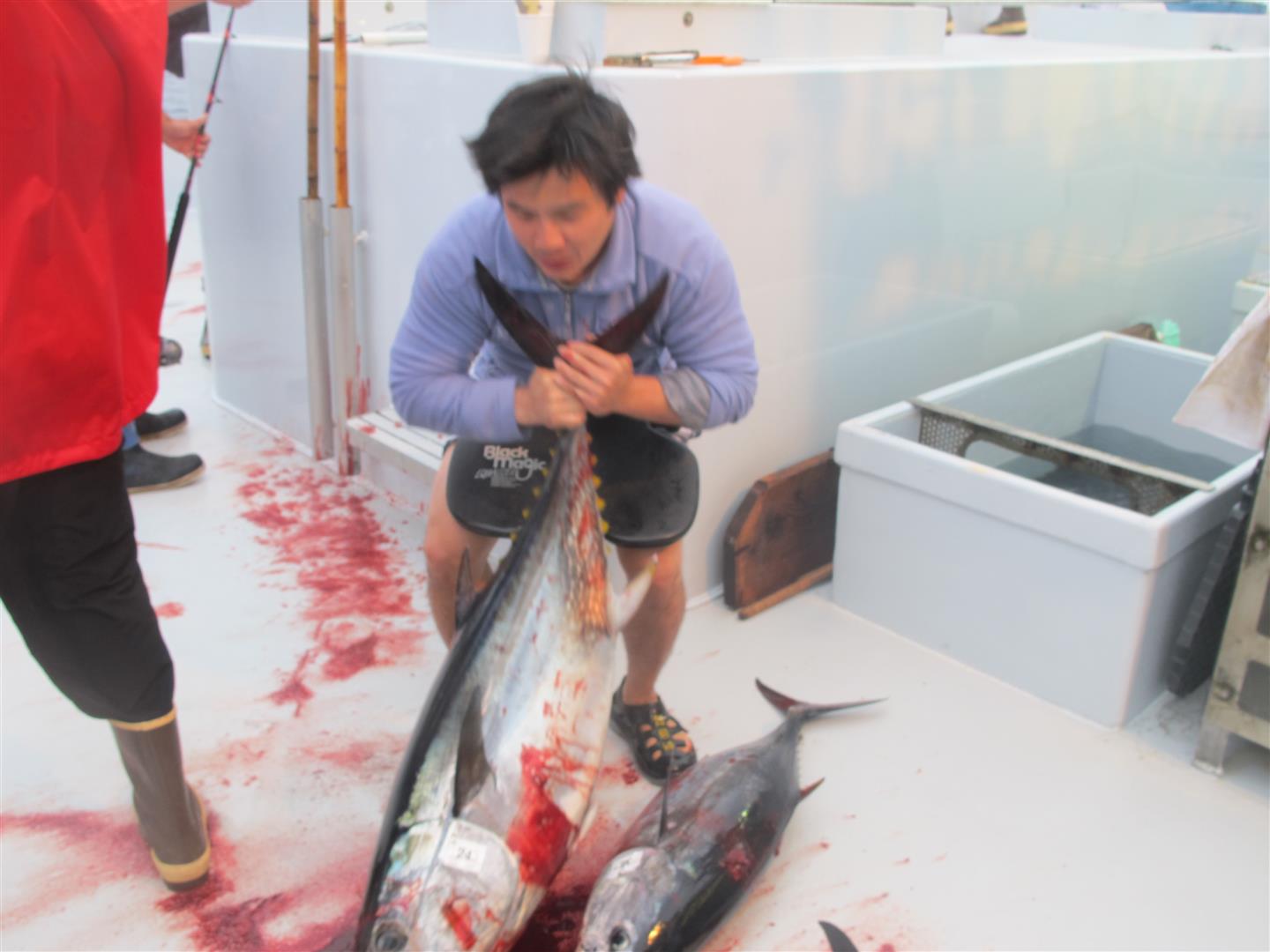  Jigging ไม่กินเลย เหยื่อ Pop เอย Stickbait เอย Swimbait  ตัวละหลายบาท อยู่ยี่ห้อดังๆทั้งนั้น  มันไม