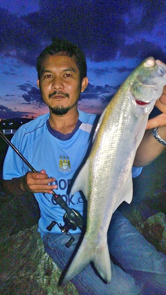 ตกค่ำ ผลออกมาไม่คาดคิด มีปลากุเลาหลงมาจากใหนก็ไม่รู้