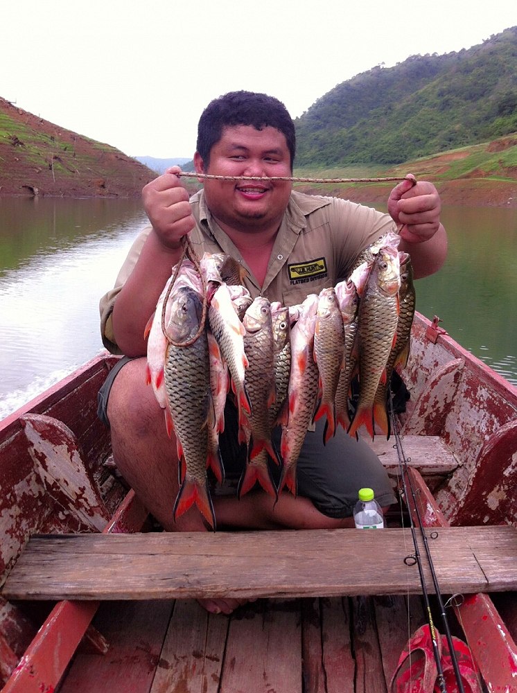 กระสูบขุนด่าน