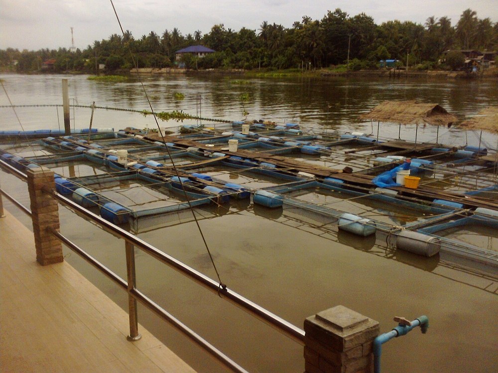 บรรยากาศที่ปัยสืบครับ