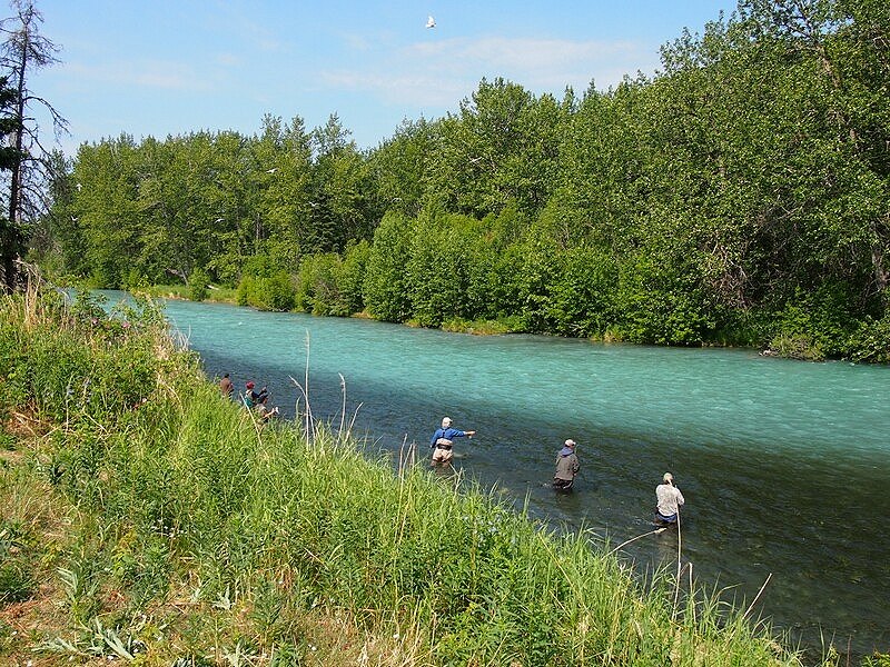 kenai river สี ฟ้าครับ ไหลละลายมาจาก หิมะ โดยตรงครับ เย็น โ คตร โ คตร