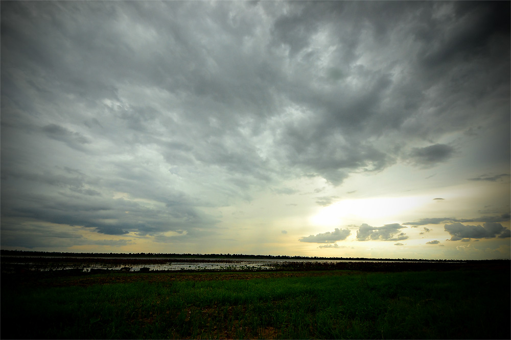 ฝนมาแล้ว หนีกันดีกว่าครับ :cheer: :cheer:
