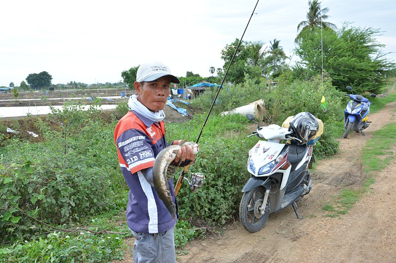 แจ่ม..จริงๆ     :laughing: :laughing: :laughing: