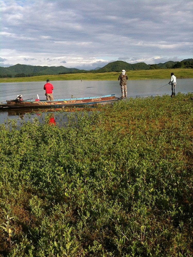 ตัดมาตอนเช้ากันเลย ปลาขึ้นดีเลยจอดเรือตีกันใหญ่