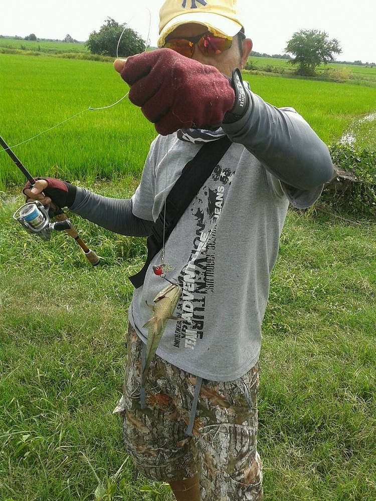 ได้มาสามตัวเชียวนะครับปลาหมอเนี้ย สงสัยจะหิวจัด
