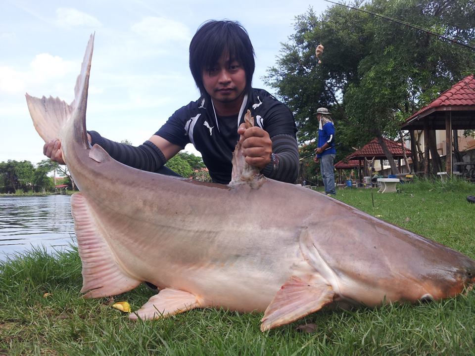 ขึ้นมาก่อนนะน้อง
