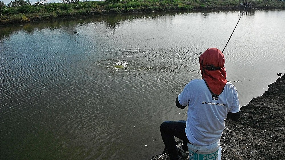 นี่เลย Catch & Release   น้าjaba ปลาหลุดเพียบเก๋าก็หลุด ตัวนี้ก็หลุด  แถมได้มาสามตัว  ผูกไว้ดันหลุดไ