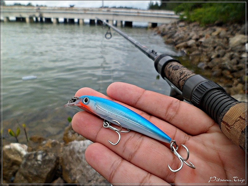  [center]:cheer:   ลองเปลี่ยนเหยื่อมาเป็นตัวนี้บ้าง RAPALA  X-RAP 4 สีฟ้า กับมุมแรกที่โดนปลาเก๋า   :