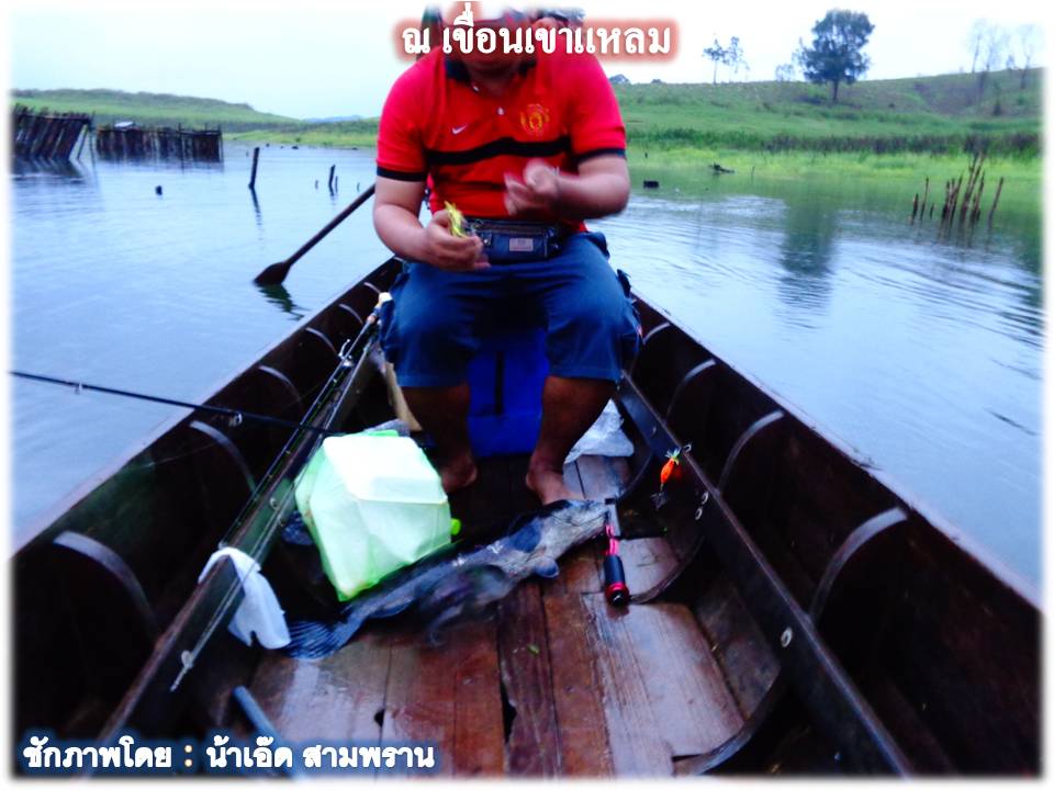 ไงล่ะน้าเล็ก...ปลารวม