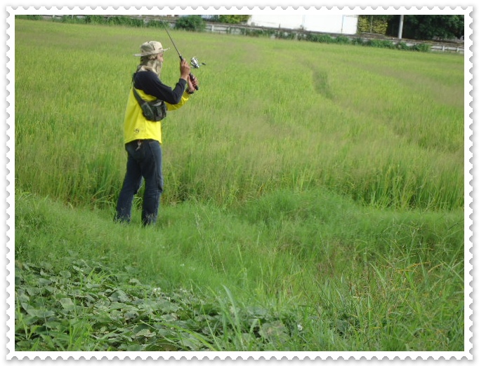 ลุยลงไปกลางทุ้งเลยนะ :laughing: :laughing: :laughing: :laughing: :laughing: