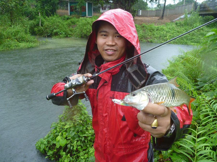  [center]เจ้ากระสูบน้อยไปจบลงที่ลิปเลสตัวจ้อย 4cm 5g Storm Flutter Stick[/center]