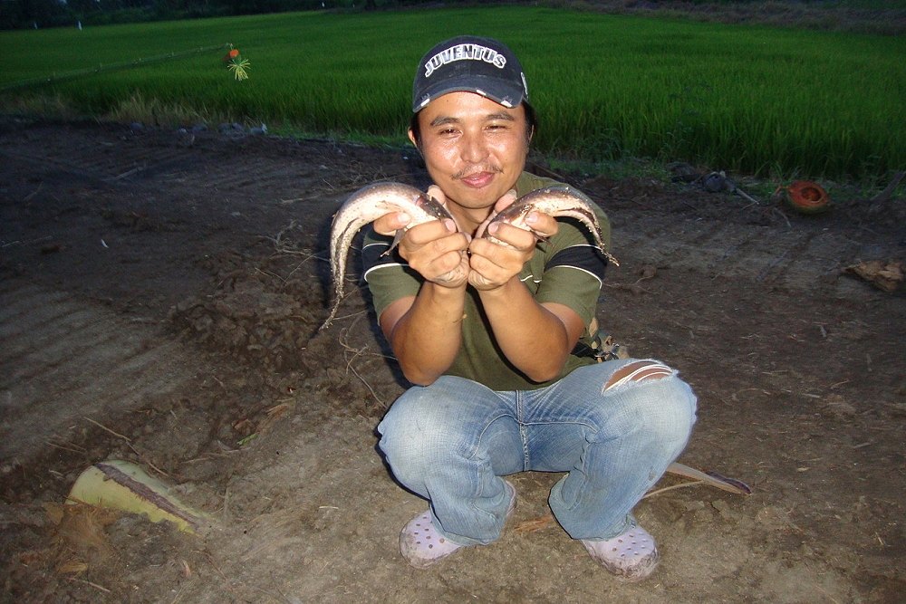 โชว์ก่อนว่าผมรอดเหมือนกันน่ะคร่้าบพี่โยบอก... :laughing: :laughing: :cheer: :cheer: :cheer: :cheer: 
