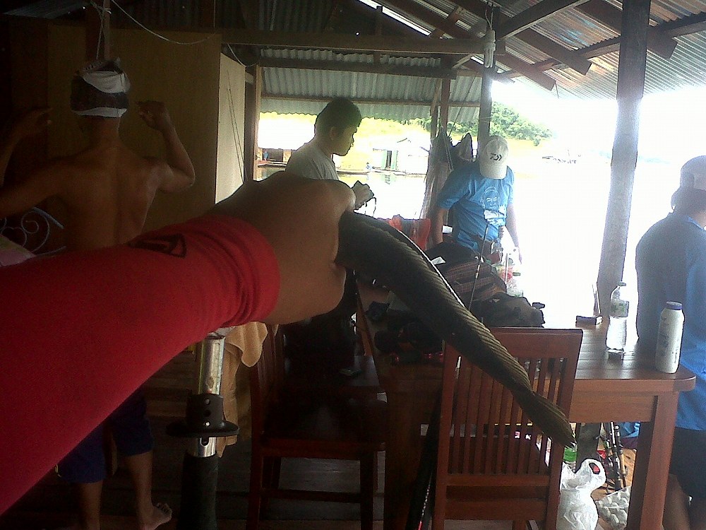 กวาดทั้งแพ โฮะๆๆๆ  ลุ้นปลาช่อนใหญ่เว้ย.... :laughing: :laughing: :laughing: :laughing: :laughing: :l
