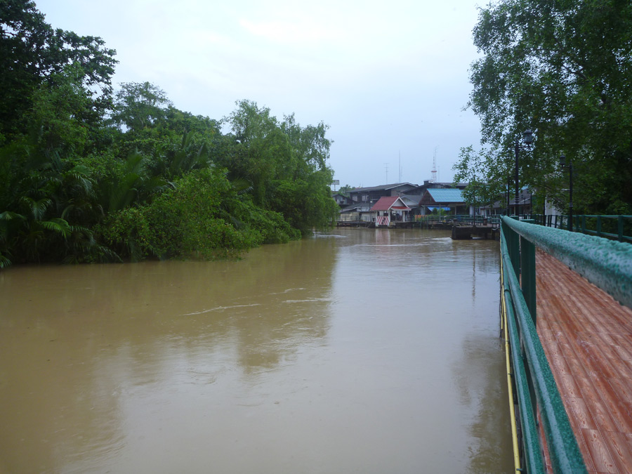  [center]ตอนเย็นเดินเล่นแถวหลังบ้านฝนยังปรอยอยู่เลยครับ[/center]
