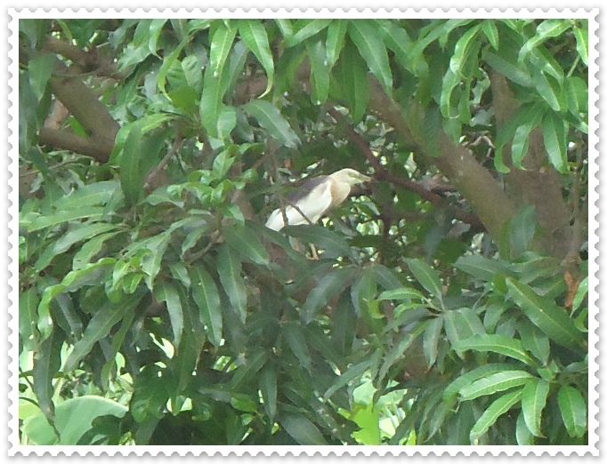 หมายนี้มีเจ้าของครับ :laughing: :laughing: :laughing: