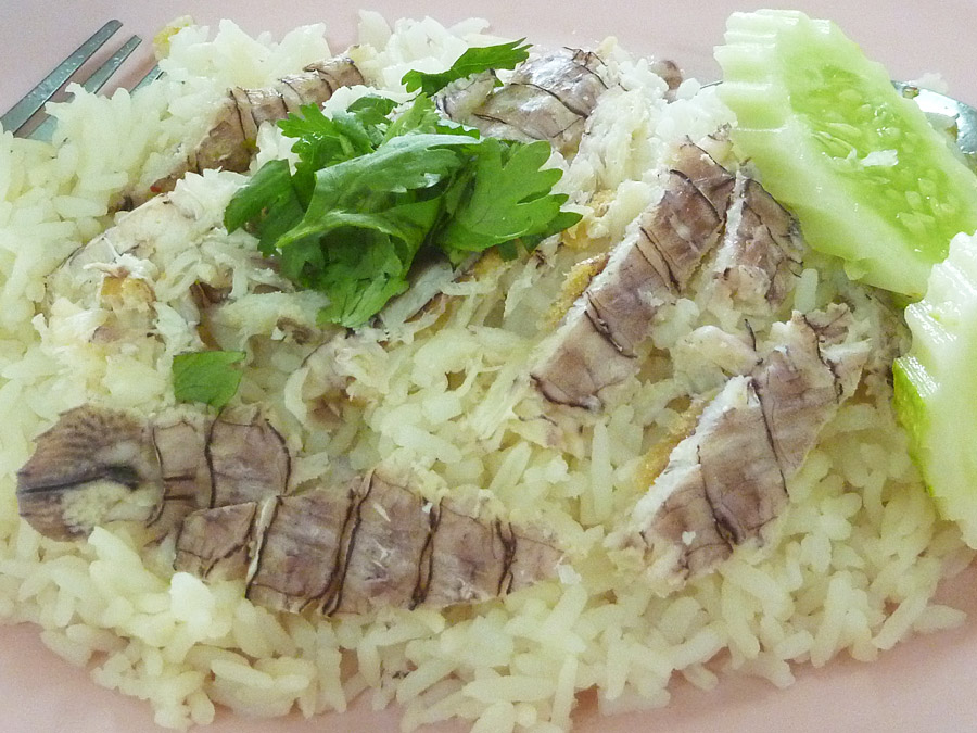  [center]แล้วก็ถึงเวลามื้อกลางวัน

วันนี้เปลี่ยนมาทานข้าวมันทะเลหน้ากั้ง ร้านธงฟ้า ใกล้เขื่อนล่าง[