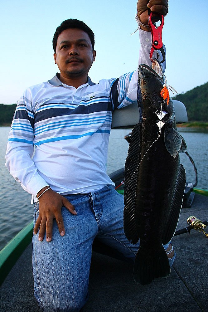                                                             ตัวโปรดของน้าหมีครับ  สีส้มทอง